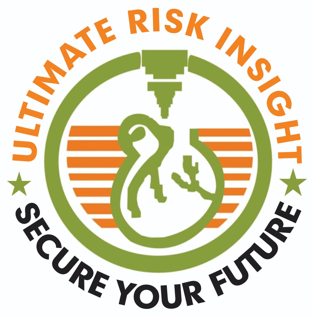 Ultimate Risk Insight